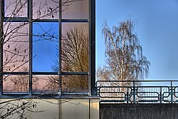 Das blaue Fenster - Bernhard Saalfeld